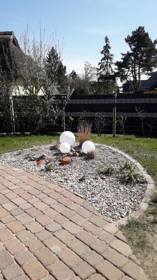 Ferienwohnung Born Am Darsswald Eg Εξωτερικό φωτογραφία